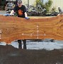 Image result for Burl Wood Grain