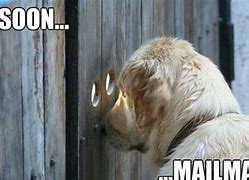 Image result for Dog Waiting Laugh Meme