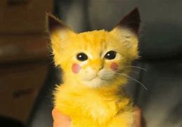 Image result for Real Life Pikachu Animal