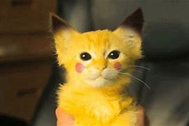 Image result for Real Life Pikachu