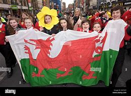 Image result for Welsh Daffodil Hat