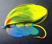 Image result for Neon Ride Fly Robin