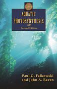 Image result for Aquatic Plant Photosynthesis