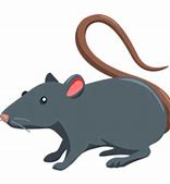 Image result for Rat Emoji