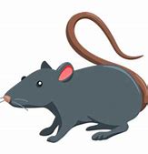 Image result for Discord Rat Emoji PNG