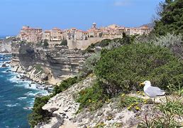 Image result for Bonifacio in Corsica