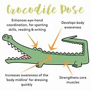 Image result for Alligator Yoga Pose