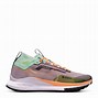 Image result for Nike Pegasus Trail 4 Gore-Tex