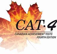 Image result for Cat Rd. 4