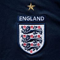 Image result for 3 Lions Badge