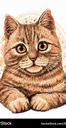 Image result for Cat Drawing Shading