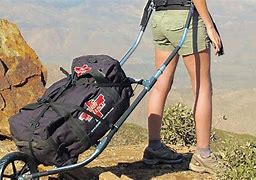 Image result for Backpack with Wheels