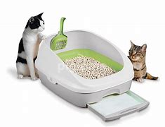 Image result for New Cat Litter Box