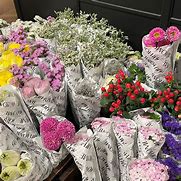 Image result for Bay Fresh Flowers