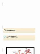 Image result for Pathophysiology of Empyema