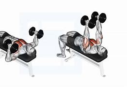 Image result for Lying Dumbbell Press