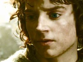 Image result for Frodo Family Tree