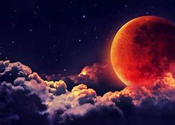 Image result for Red Moon Forest