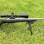 Image result for 22Creedmoor Hunting