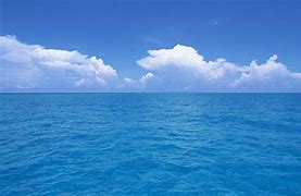 Image result for Sea Background Images Brown