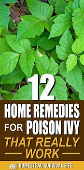 Image result for Poison Ivy Rash Remedy