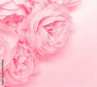 Image result for Beautiful Pink Flowers Pinterest