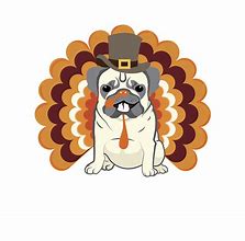 Image result for Thanksgiving Puglie Pug