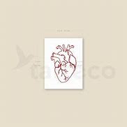 Image result for Anatomical Heart Tattoo Red