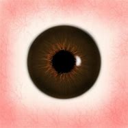 Image result for Brown Cartoon Eye Texture