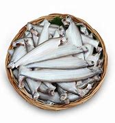 Image result for Kajoli Fish