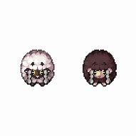 Image result for Shiny Wooloo PFP