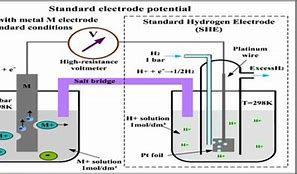 Image result for Standard Electrode Potential