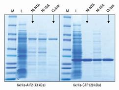 Image result for Ni-NTA Resin