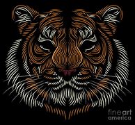 Image result for Tiger Head Line Drawing