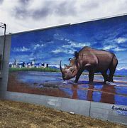 Image result for Denver Street Art