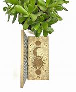 Image result for Sadhu Nail Board