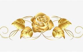 Image result for Rose Gold Vector