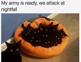 Image result for Black Cat Teeth Meme