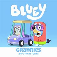 Image result for Bluey Grandad