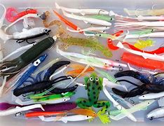 Image result for Fly Fishing Bait