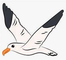 Image result for Flying Seagull Clip Art