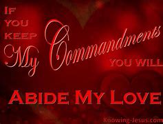 Image result for John 15 Abide in My Love