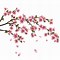 Image result for Chinese Flower Drawings