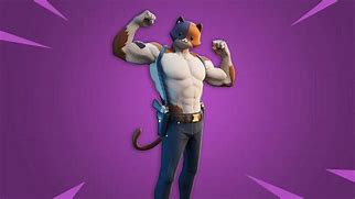 Image result for Fortnite Cat PFP