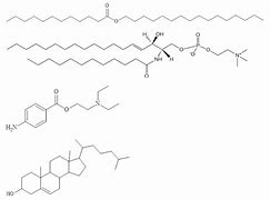 Image result for Hn Molecules