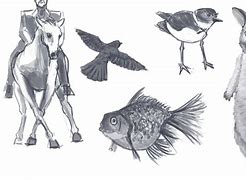 Image result for Animal Studying