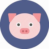 Image result for Pig Front Profile