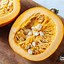 Image result for Pumpkin Puree