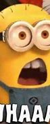 Image result for Minion Whaaa