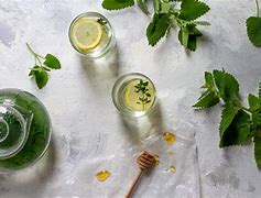 Image result for Cat On Catnip Tea